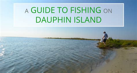 beach fishing dauphin island alabama.